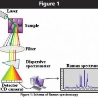 Analysis and interpretation of Raman spectroscopy