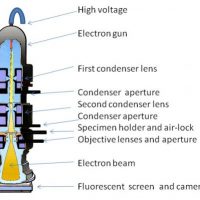 The principle of Transmission Electron Microscope (TEM)