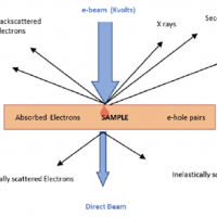 What are the main differences between an SEM, an ESEM, an SEM-FIB and an (S)TEM?